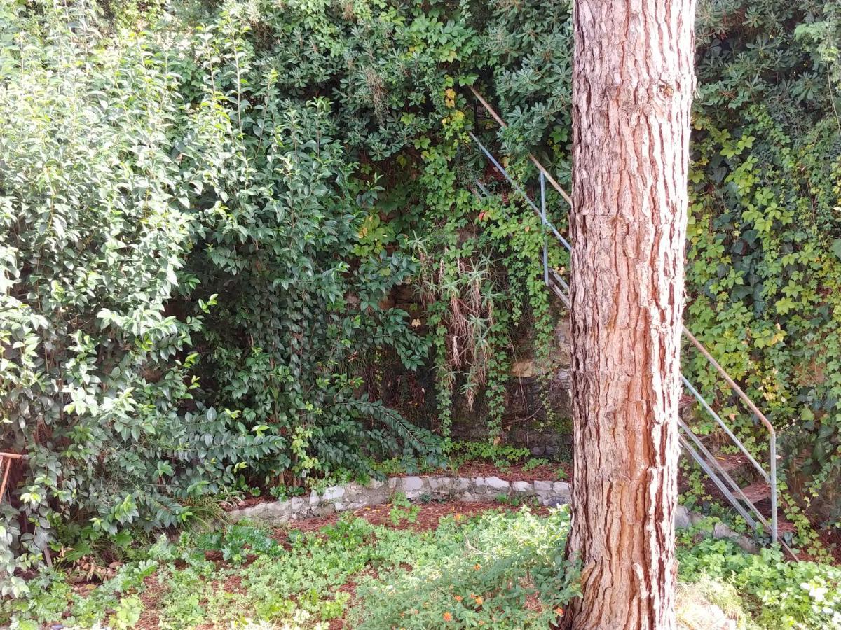 Ferienwohnung Casa Tina Santa Margherita Ligure Exterior foto